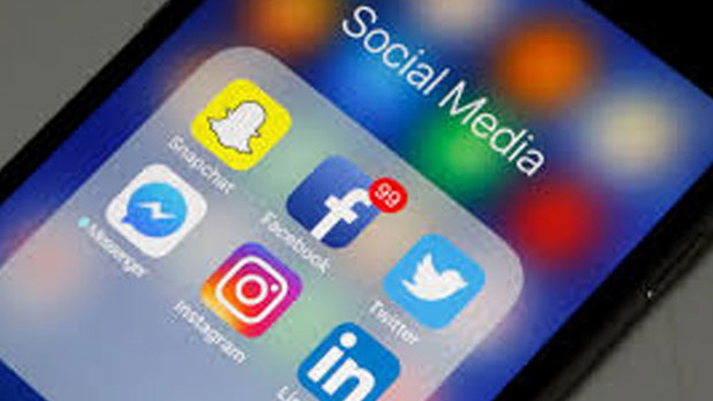 Panels to keep tabs on social media firms