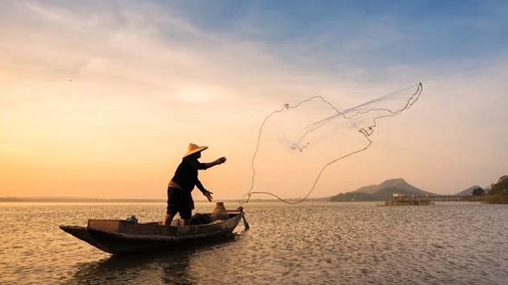 SC allows purse seine fishing beyond TN’s territorial waters with conditions