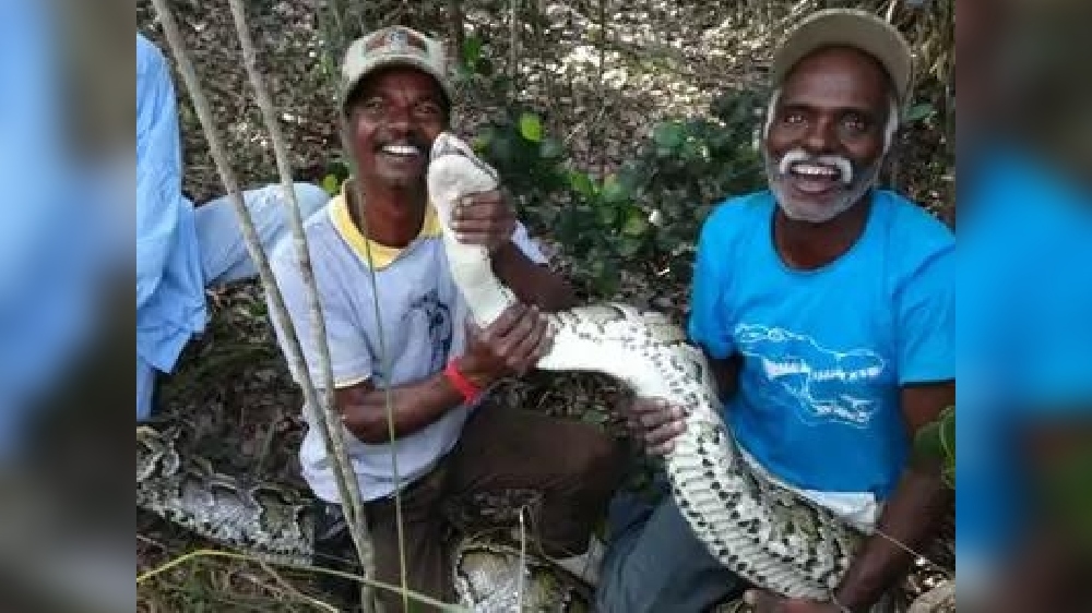 2 Irula snake catchers among Padma awardees