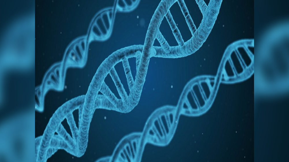 DNA repair scheme for cancer therapy: Research DNA repair scheme for cancer therapy: Research