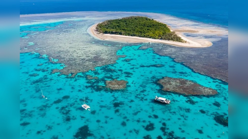 Warming water inhibits growth of Great Barrier Reef coral: Study Warming water inhibits growth of Great Barrier Reef coral: Study