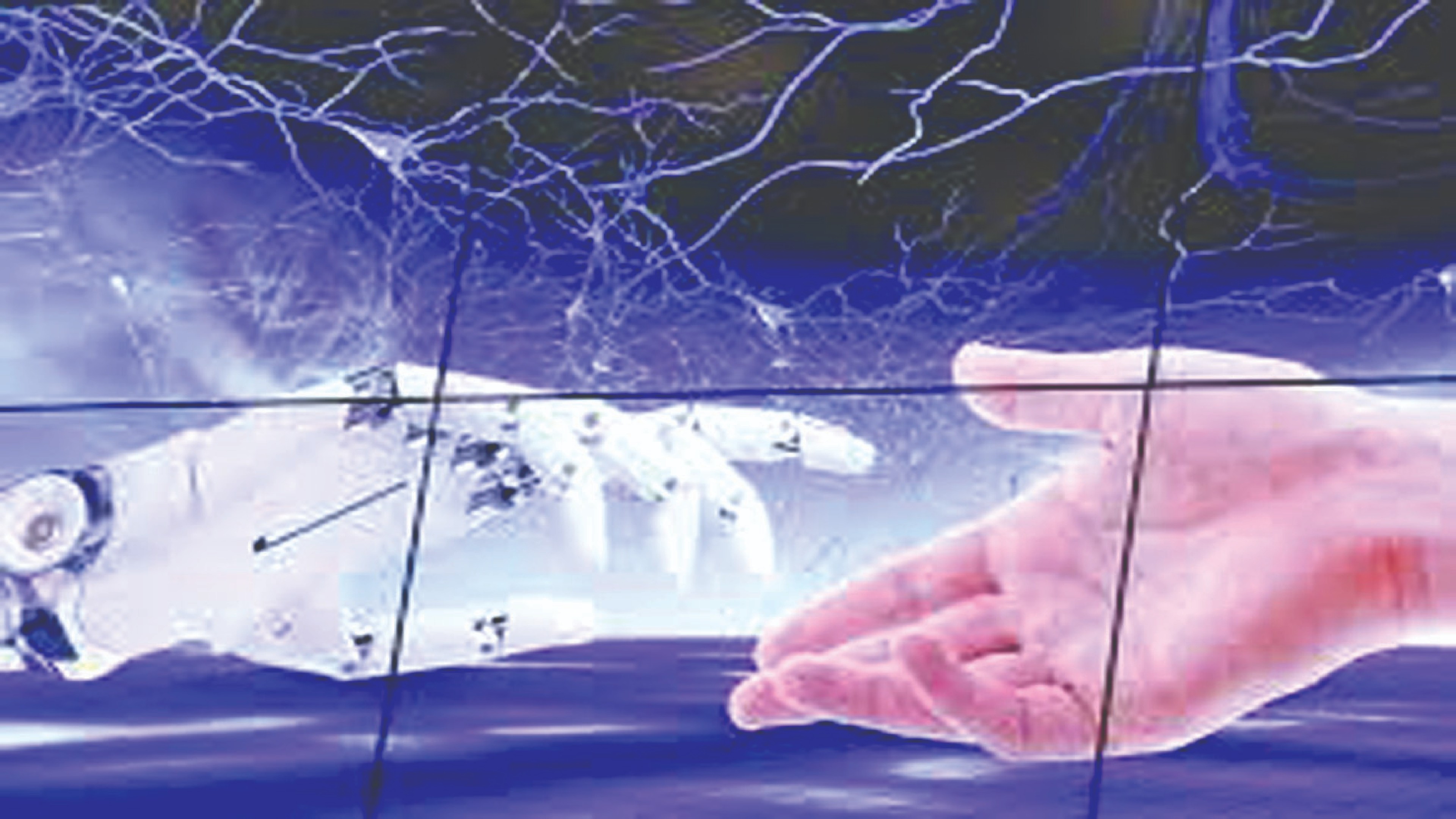 ChatGPT demand on Google peaks, China leads