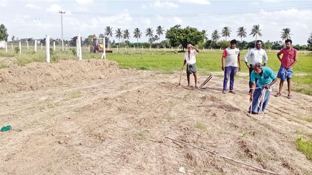 TN horticulture farm breathes life into 30 families in Tiruvallur