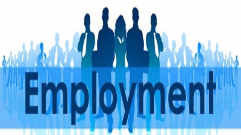 Employment generation, inclusive growth to be budget focus