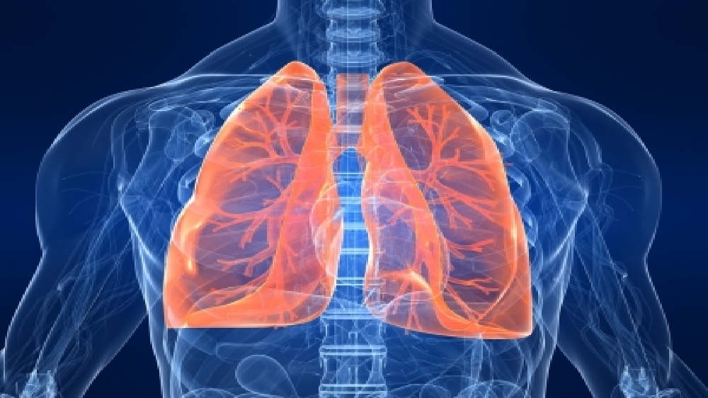 Researchers tests AI tool that predicts risk of lung cancer