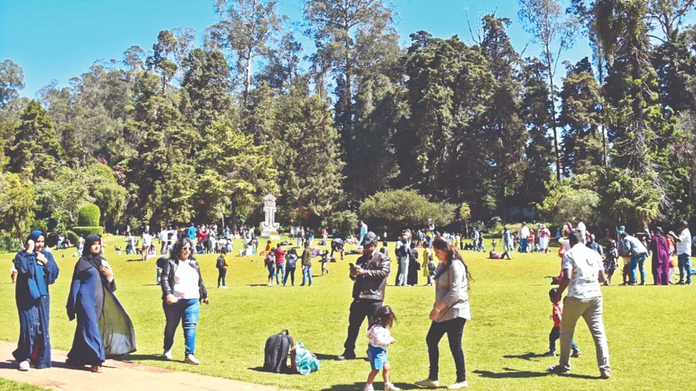 Tourists throng hill stations, but occupancy low Tourists throng hill stations, but occupancy low