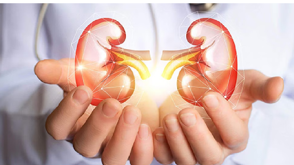 Sugar causes swelling, leads to common kidney disease: Study