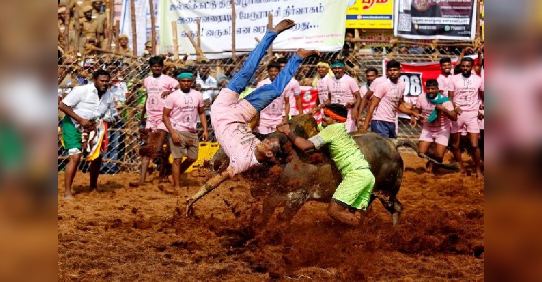 Avaniyapuram Jallikattu: Discussions held at Collectors office