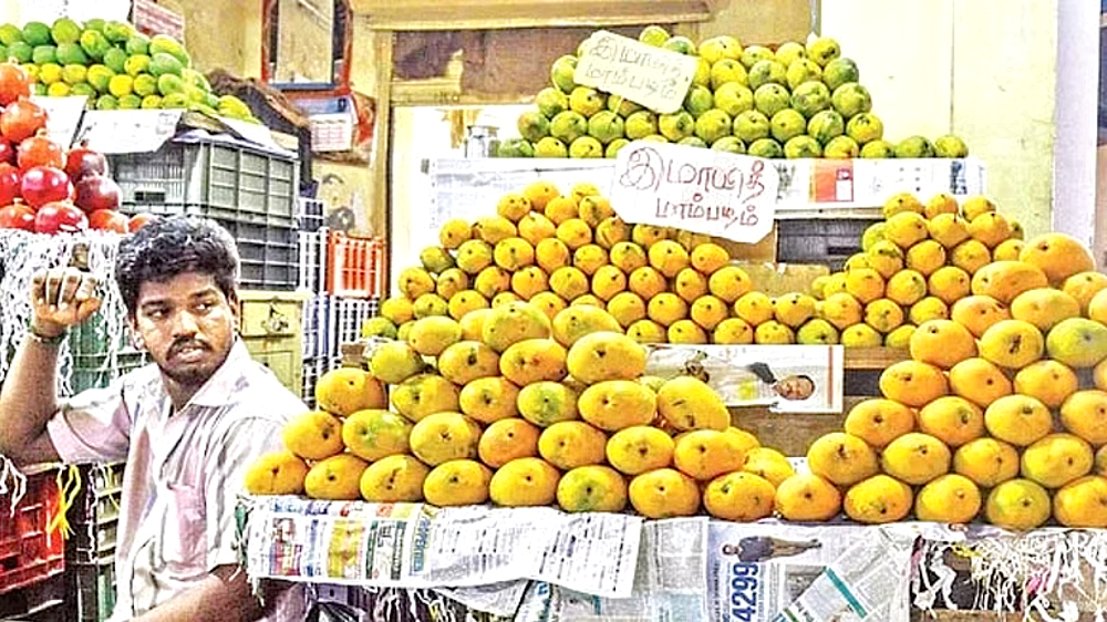 Cold weather impacts fruit sales at Koyambedu market; traders worry