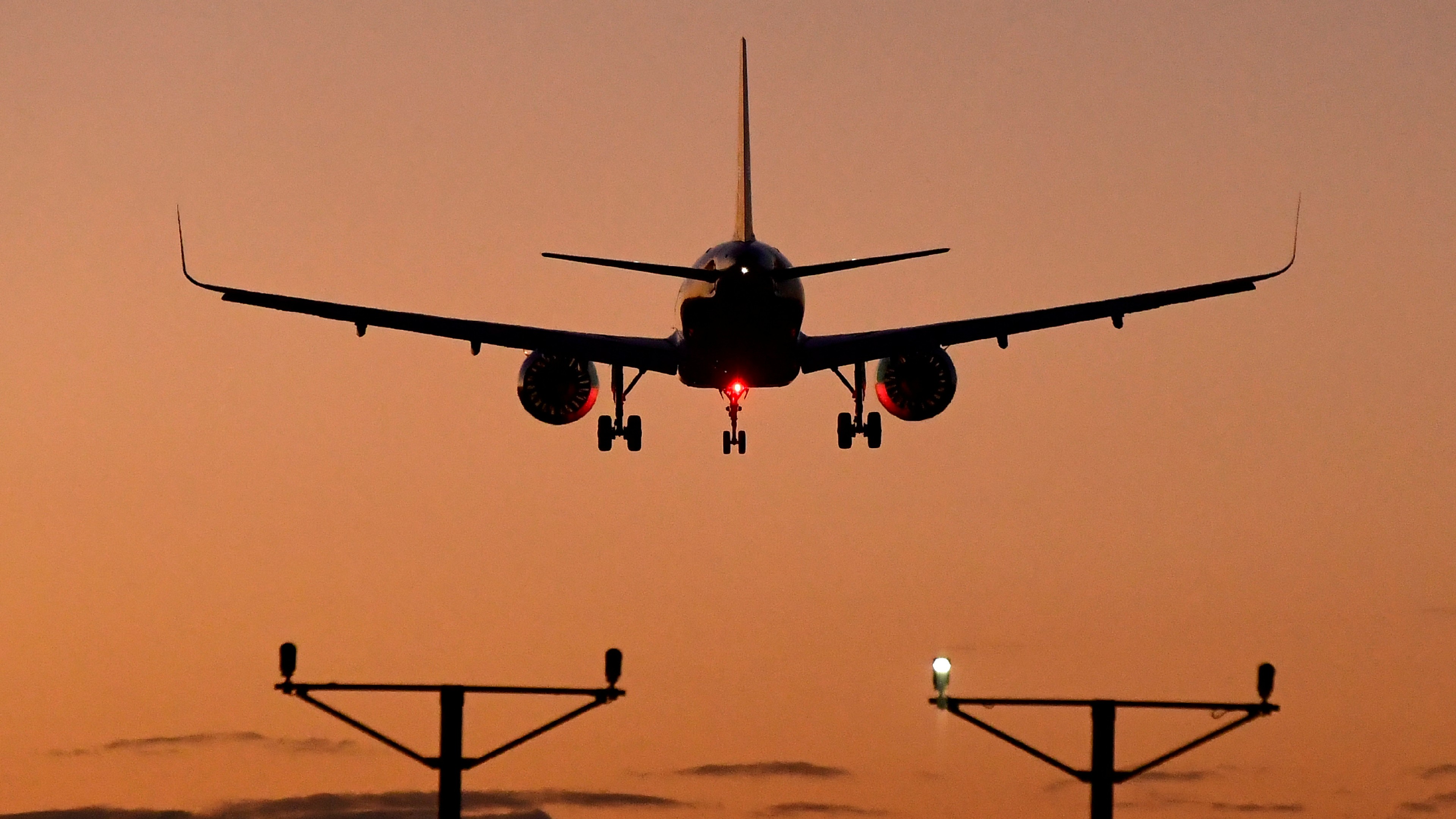 Sharjah-bound flight cancelled after bird hit in Coimbatore