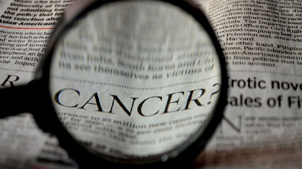 Immune cell helps kill bladder cancer tumors: Research