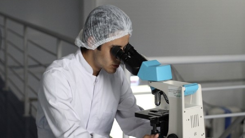 MicroRNA affects inflammation in lupus disease: Research