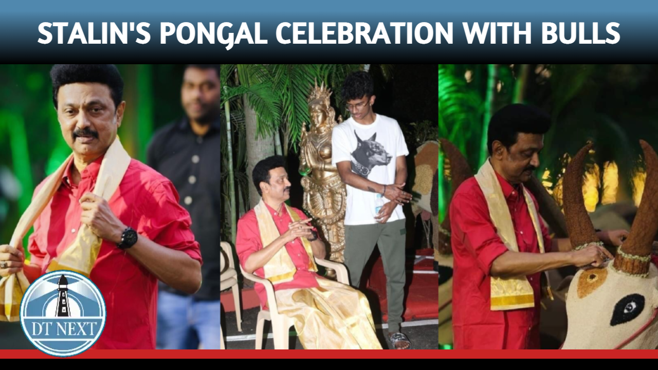 CM Stalin celebrates Pongal with bulls CM Stalin celebrates Pongal with bulls
