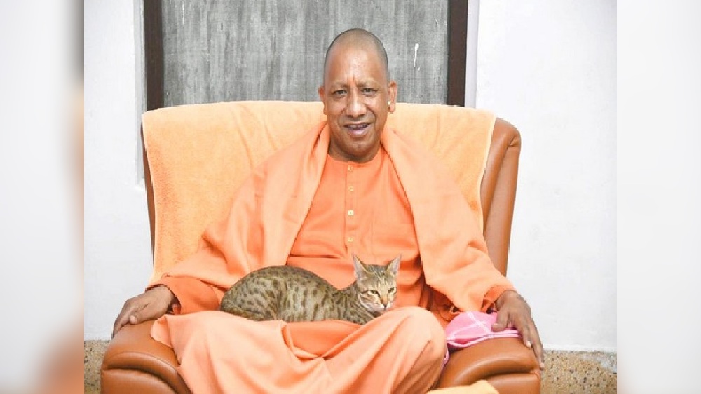 Yogi Adityanath doting on cat goes viral on last day of 2022