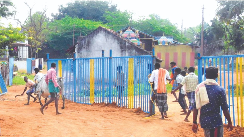 ‘Poor safety’: Jallikattu event cancelled; new date tomorrow