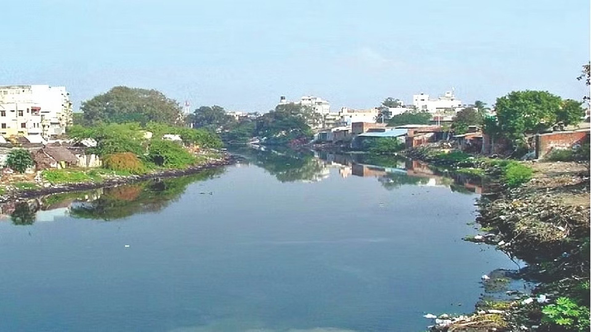Plantation along Cooum and Adyar river to completed by March: GCC Plantation along Cooum and Adyar river to completed by March: GCC