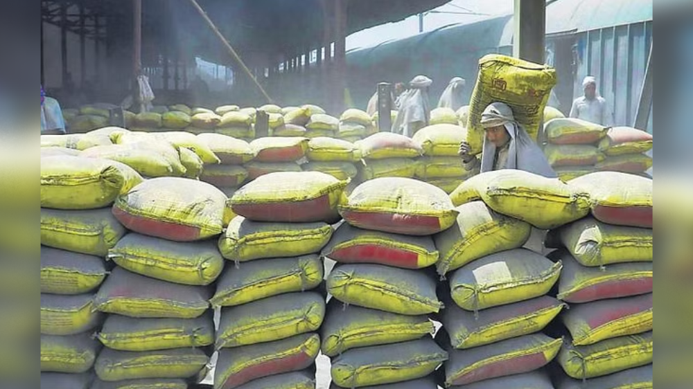 Subsidiary sale boosts India Cements net Subsidiary sale boosts India Cements net