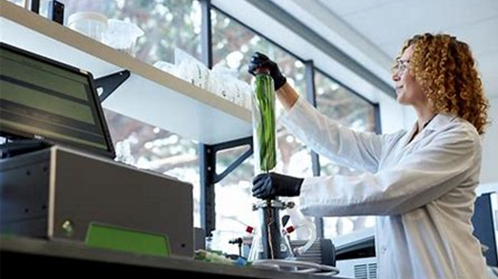 Life expectancy for young 14 yrs shorter in violent countries: Study