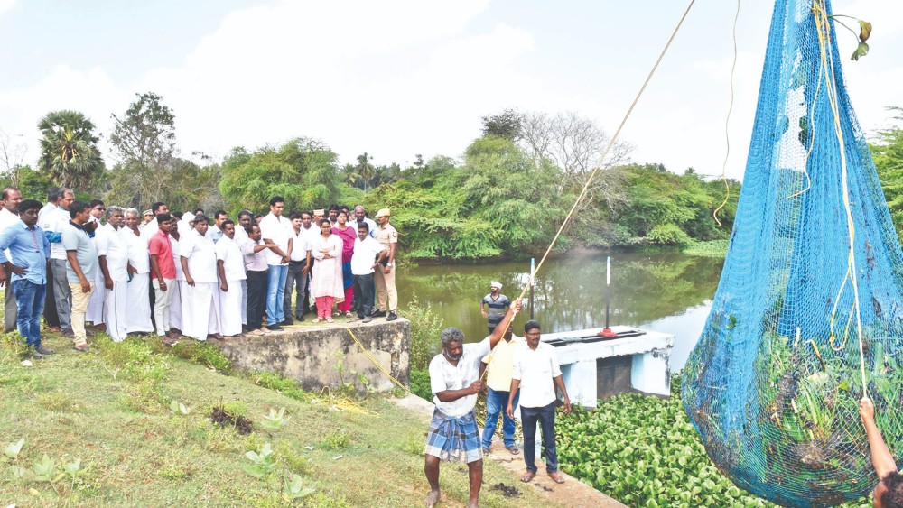 2,000 people join to clear Vaduvoor Lake of vegetation 2,000 people join to clear Vaduvoor Lake of vegetation