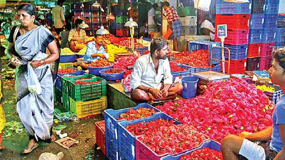 Valentines day: Prices of rose decrease in Koyambedu market