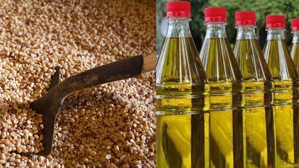 Groundnut oil bullish, but other edibles slip in absence of support Groundnut oil bullish, but other edibles slip in absence of support