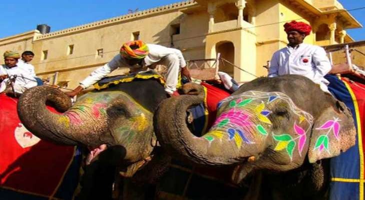 PETA writes to Rajasthan CM to rehabilitate 2 Amber Fort elephants