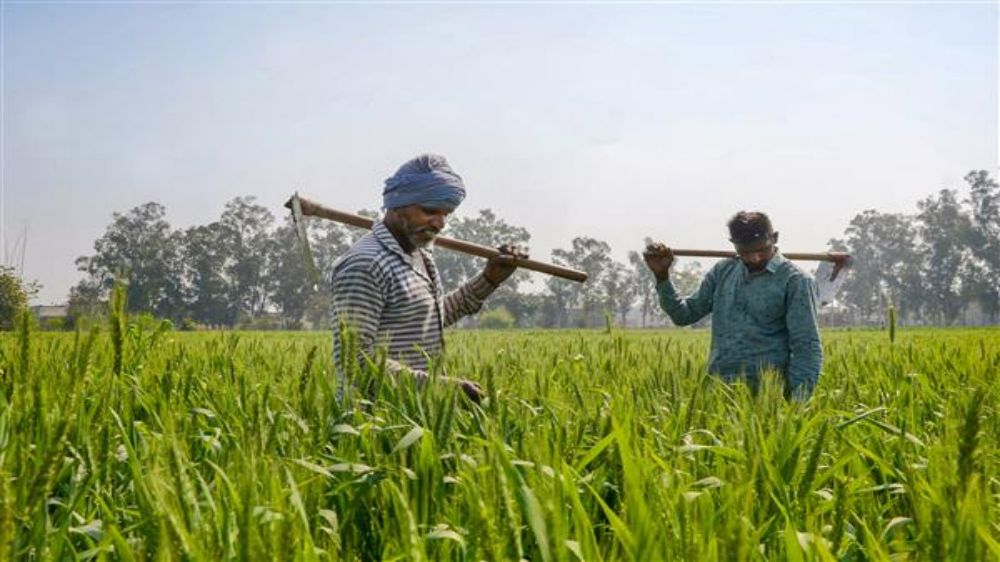 Farmers laud agri startups, millets push