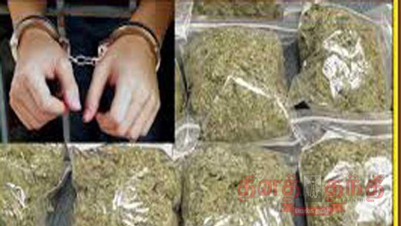 Tirunelveli police arrest one more AP native in ganja case
