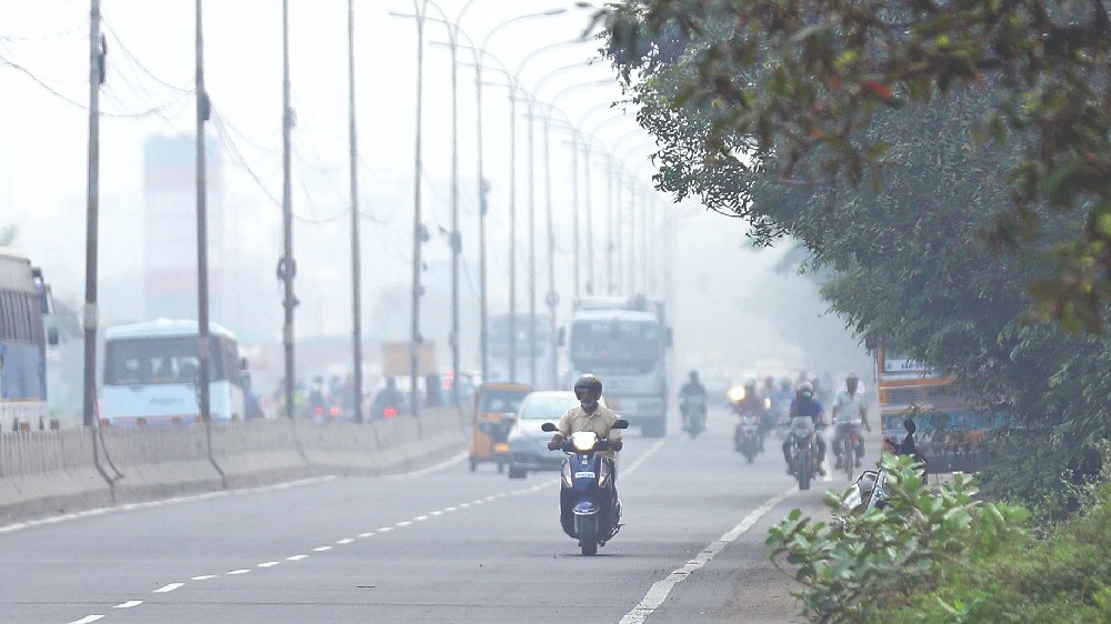 Lifespan of mosquitoes getting longer Lifespan of mosquitoes getting longer