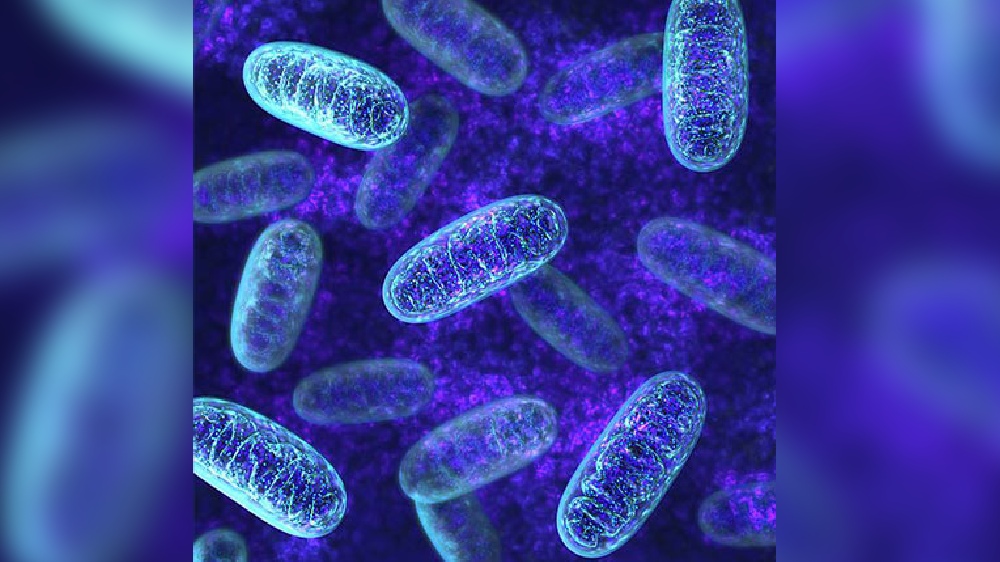 Researchers reveals how antibiotic helps to fight against superbugs