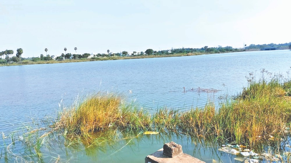 Collector puts off auction of 2 Tiruchy lakes for fishing