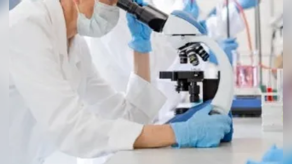 Scientists develop drill-like seed carrier to promote afforestation