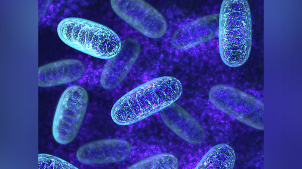 Newly-discovered virus has ability to kill resistant bacteria