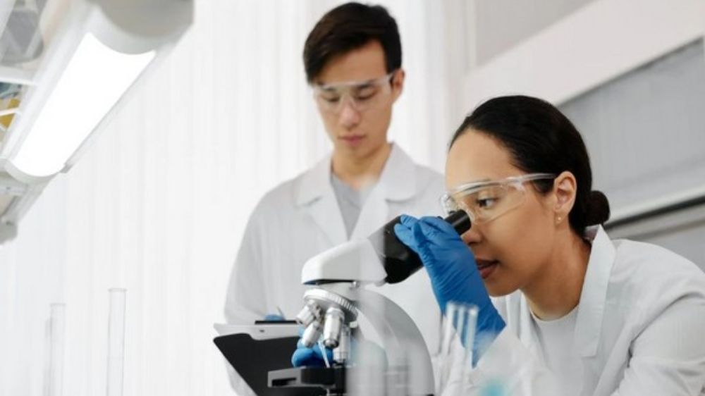 Cancer patients who dont react to immunotherapy lack crucial immune cells