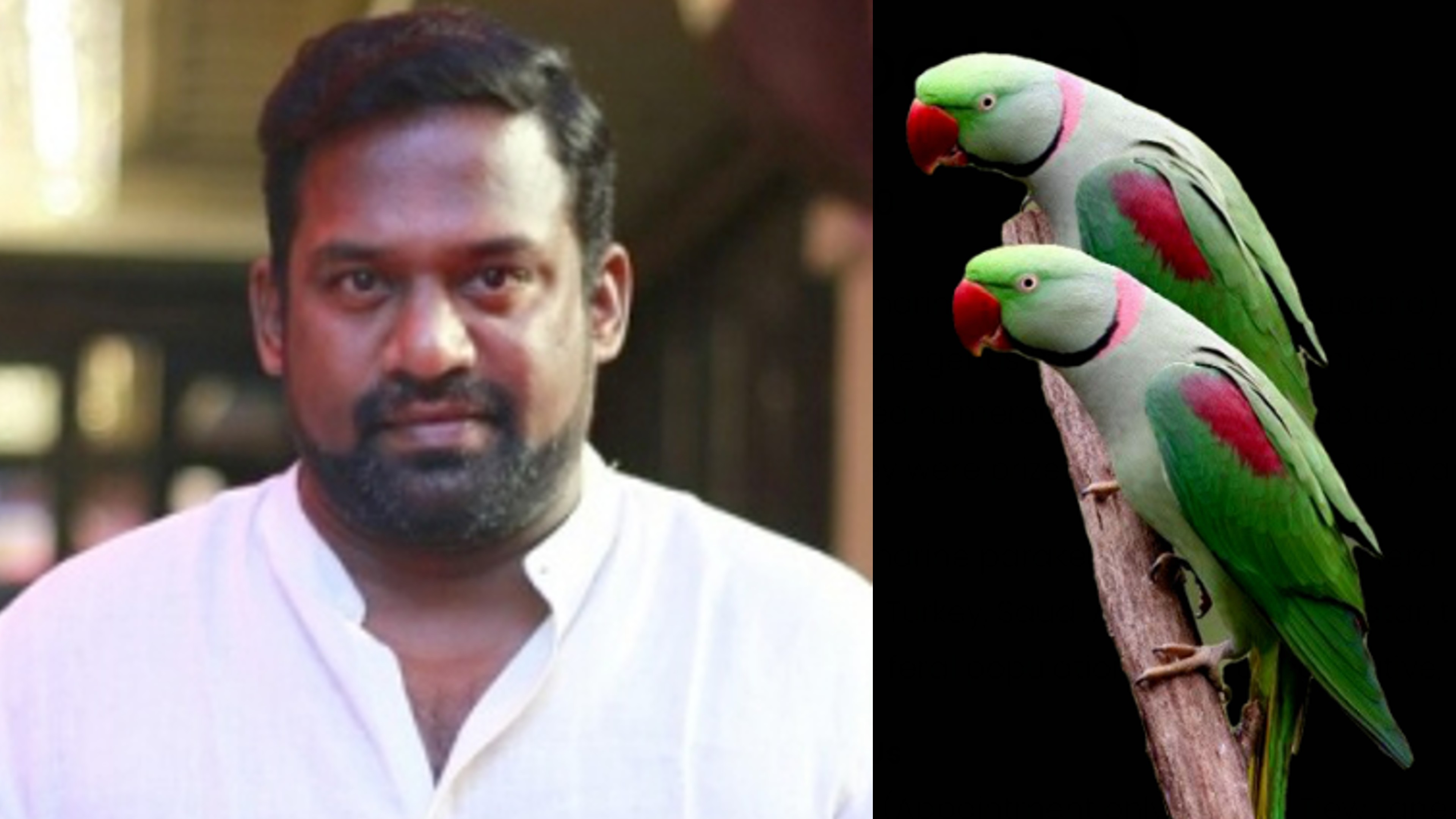 Actor Robo Shankar fined Rs 2.5 lakh for caging parrots