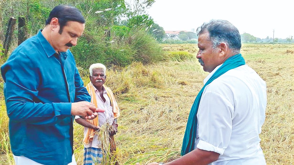 Anbumani seeks exemption for paddy from moisture condition
