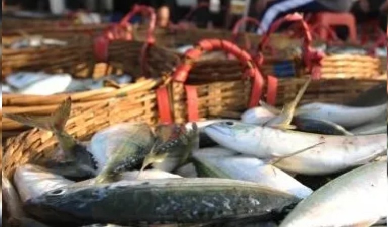 India’s seafood exports likely to reach all-time high of $8 bn