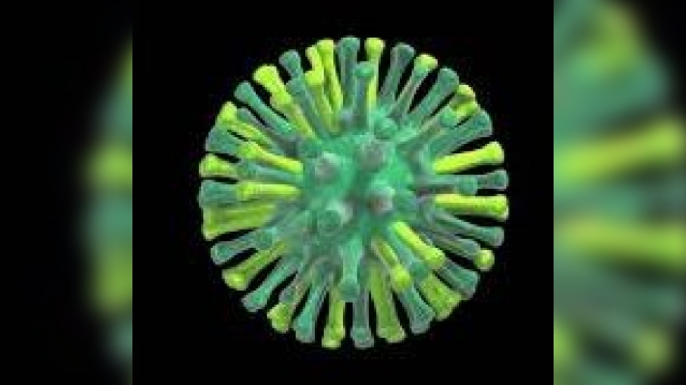 Cuba confirms first bird flu cases