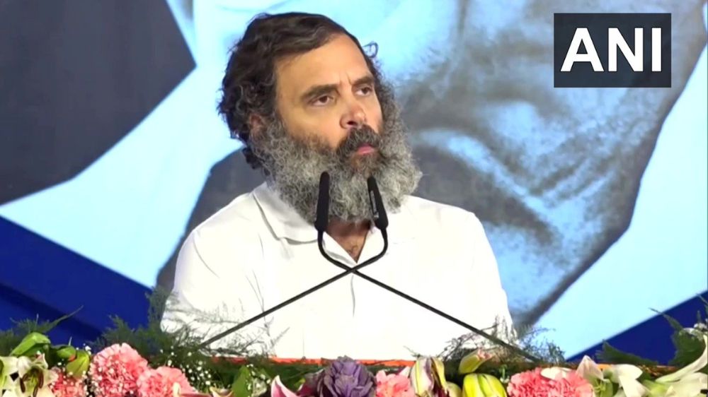 What type of nationalism is Jaishankar following: Rahul Gandhi