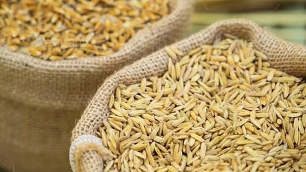 Next wheat auction in open markets to be held on Feb 15