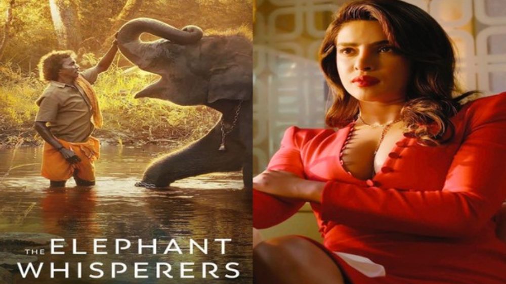 Priyanka Chopra gives shoutout to team The Elephant Whisperers