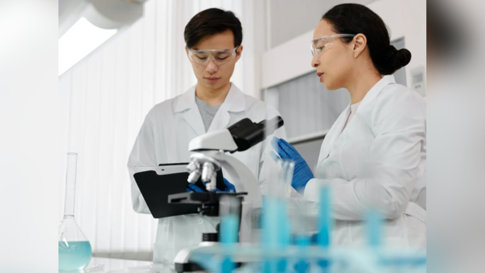 Study sheds new light on treatment of Alzheimers disease