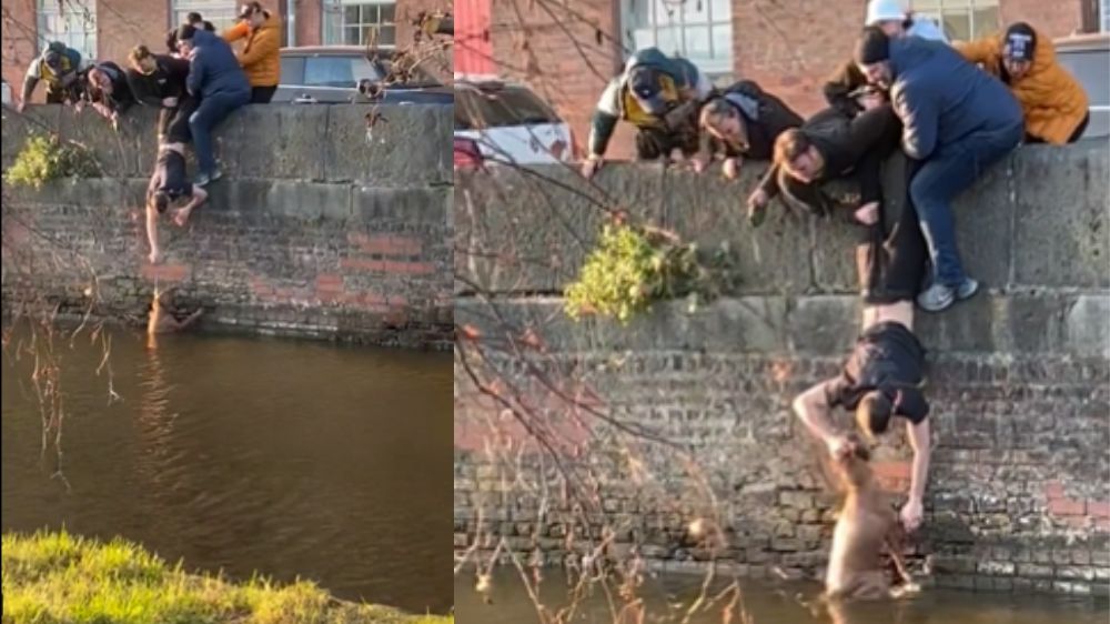 Manchester students’ daring act to save a dog from canal Manchester students’ daring act to save a dog from canal