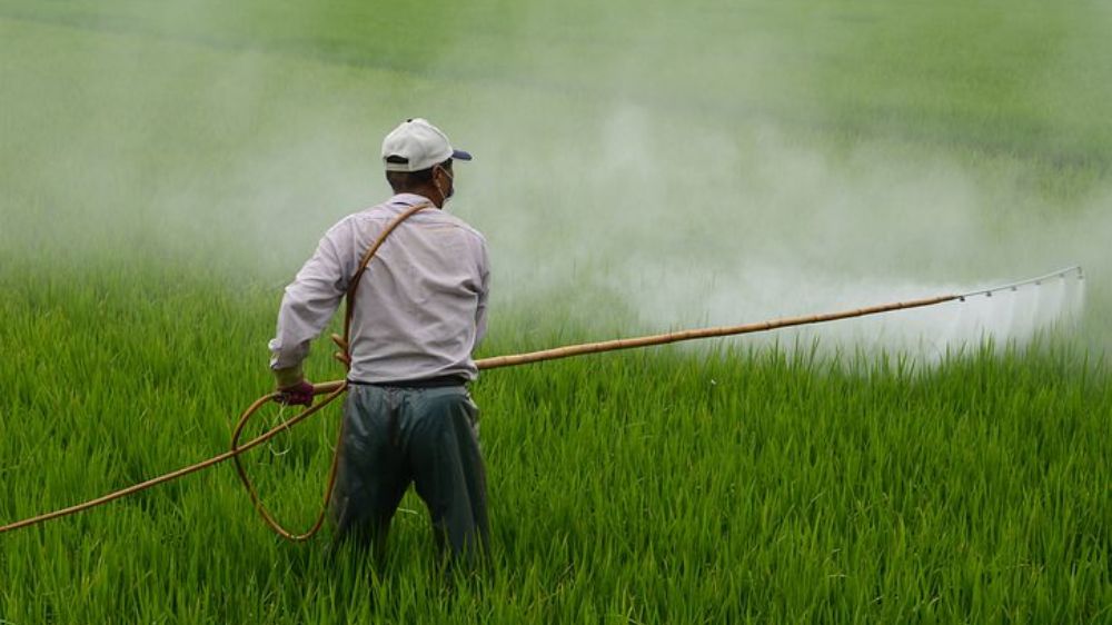 TN govt passes ordinance to ban 6 pesticides TN govt passes ordinance to ban 6 pesticides