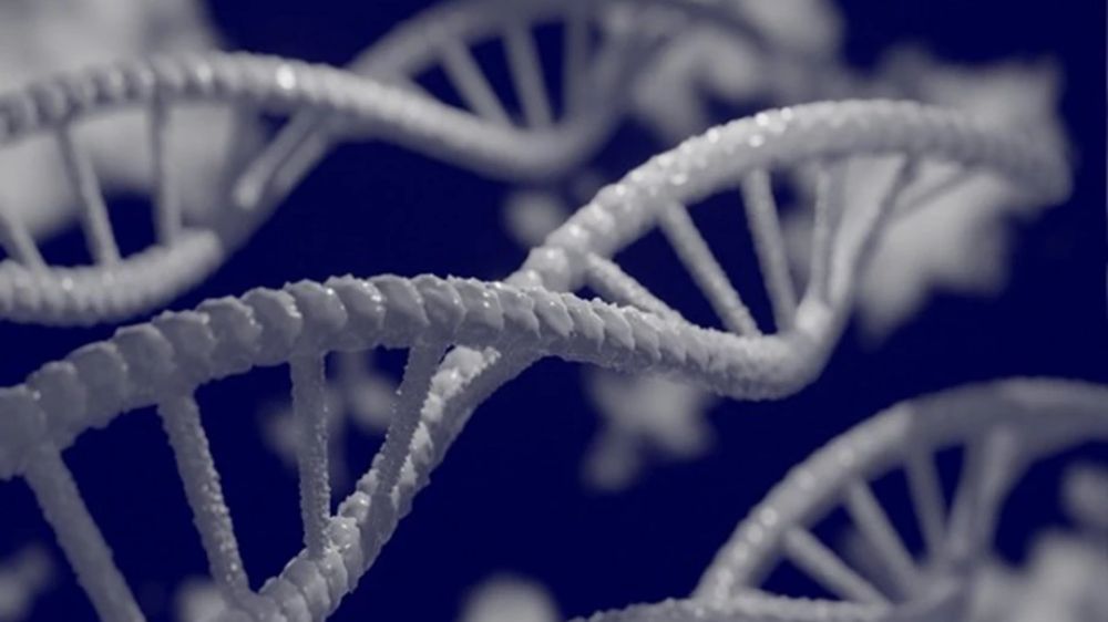 DNA repair discovery could improve biotechnology: Research