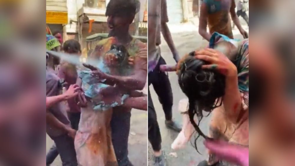 Video surfaces showing Japanese woman groped, harassed on Holi