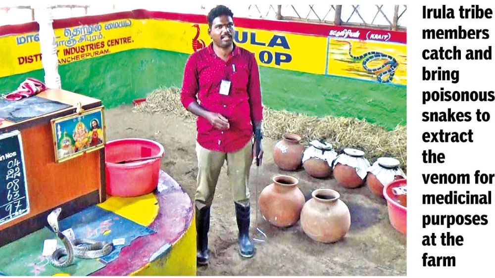 Vada Nemili snake farm open to public after three-week break