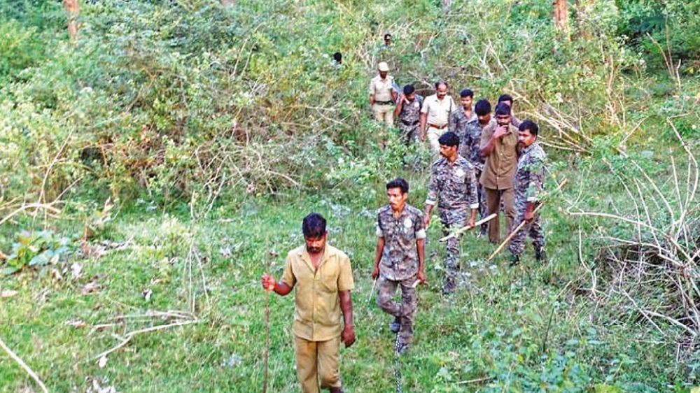 Anti-poaching watcher dies after fall while dousing forest fire