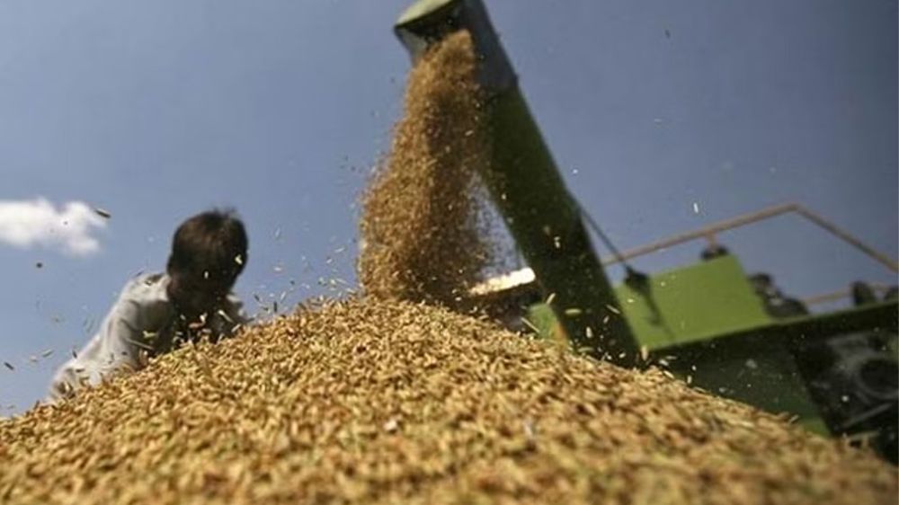 Set up welfare board to protect traders’ interest: TNFMAL