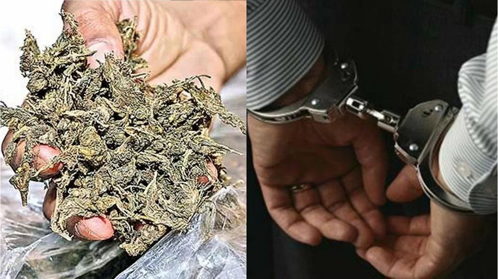 2 Kerala men held with 100 kg Ganja in express train